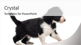  Presentation with old days - Presentation consisting of side view of a 21 background and a  colored foreground