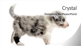  Presentation with old days - Audience pleasing slide set consisting of side view of a 21 backdrop and a white colored foreground