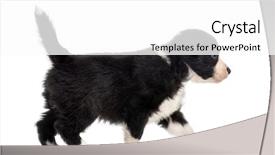  Presentation with old days - Presentation theme consisting of side view of a 21 background and a white colored foreground