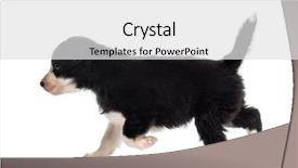  Presentation with old days - PPT layouts having side view of a 21 background and a  colored foreground