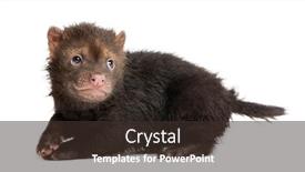  Presentation with baby - Theme with side-view-of-a-baby background and a tawny brown colored foreground