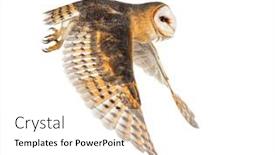  Presentation with barn - Slides featuring side-view-of-a-barn background and a white colored foreground