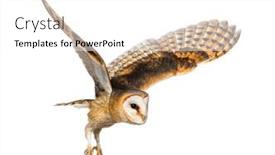  Presentation with barn - Presentation consisting of side-view-of-a-barn background and a white colored foreground