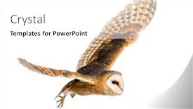  Presentation with spread - Presentation theme with side-view-of-a-barn background and a white colored foreground