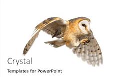  Presentation with rustic barn wedding - PPT theme having side-view-of-a-barn background and a white colored foreground