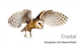  Presentation with side by side - Presentation theme enhanced with side-view-of-a-barn background and a white colored foreground