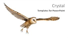  Presentation with rustic barn wedding - PPT theme with side-view-of-a-barn background and a white colored foreground