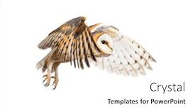  Presentation with rustic barn wedding - Slide deck having side-view-of-a-barn background and a white colored foreground