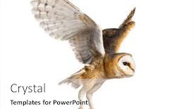  Presentation with five a side soccer - Slides consisting of side-view-of-a-barn background and a white colored foreground