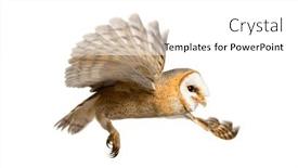  Presentation with rustic barn wedding - Presentation design enhanced with side-view-of-a-barn background and a white colored foreground