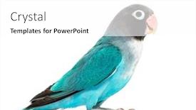  Presentation with mutation - Theme with side-view-of-a-black background and a white colored foreground