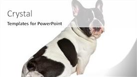  Presentation with black - PPT theme enhanced with side-view-of-a-black background and a white colored foreground