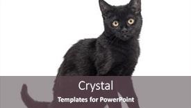  Presentation with black yellow - Presentation theme enhanced with side-view-of-a-black and a dark gray colored foreground