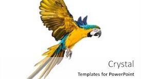  Presentation with blue yellow - PPT theme enhanced with side-view-of-a-blue background and a white colored foreground