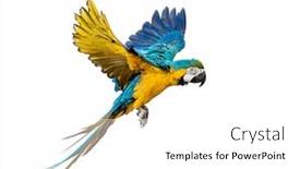  Presentation with blue yellow - Theme featuring side-view-of-a-blue background and a white colored foreground