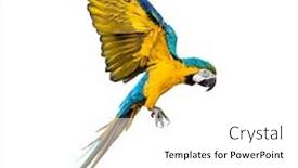  Presentation with blue yellow - Cool new slide set with side-view-of-a-blue backdrop and a white colored foreground