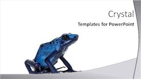  Presentation with poison - Presentation theme with side-view-of-a-blue background and a white colored foreground