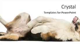  Presentation with border - PPT theme featuring side view of a border background and a white colored foreground