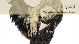  Presentation with healthy workplace full length side view - Presentation theme having side view of a brahma background and a soft green colored foreground