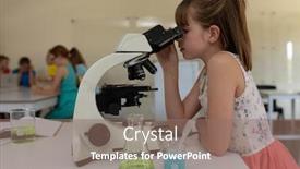  Presentation with classmates - Amazing presentation having side-view-of-a-caucasian backdrop and a coral colored foreground