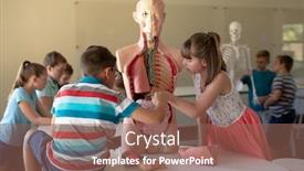  Presentation with human biology - Presentation design featuring side-view-of-a-caucasian background and a violet colored foreground