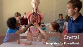  Presentation with human organs - Presentation enhanced with side-view-of-a-caucasian background and a violet colored foreground