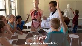  Presentation with teach - PPT theme consisting of side-view-of-a-caucasian background and a tawny brown colored foreground