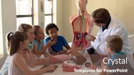  Presentation with human organs - Presentation theme having side-view-of-a-caucasian background and a violet colored foreground