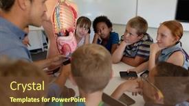  Presentation with human organs - Cool new presentation theme with side-view-of-a-caucasian backdrop and a tawny brown colored foreground