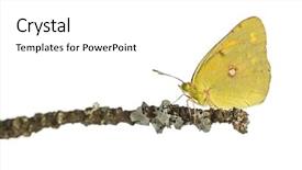  Presentation with sulphur - Audience pleasing slides consisting of side view of a clouded backdrop and a white colored foreground