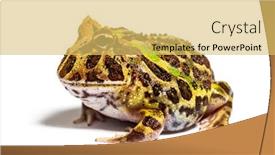  Presentation with frog - PPT theme enhanced with side-view-of-a-cranwell background and a yellow colored foreground