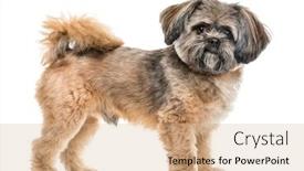  Presentation with cross - Colorful slide deck enhanced with side-view-of-a-cross backdrop and a coral colored foreground