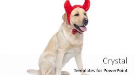  Presentation with devil - Slide deck featuring side-view-of-a-cute background and a white colored foreground