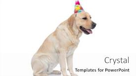  Presentation with cute birthday - PPT theme enhanced with side-view-of-a-cute background and a white colored foreground