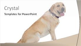  Presentation with cute - Colorful slide set enhanced with side-view-of-a-cute backdrop and a white colored foreground