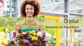  Presentation with flower - Presentation having flower shop with various houseplant background and a yellow colored foreground