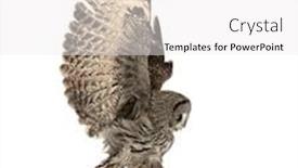  Presentation with art white gray grey - Cool new presentation theme with side-view-of-a-great backdrop and a white colored foreground