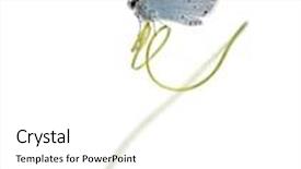  Presentation with holly - Beautiful PPT theme featuring side view of a holly blue landed on a plant stalk celastrina argiolus isolated on white backdrop and a white colored foreground