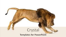  Presentation with lion - PPT theme featuring side-view-of-a-lion background and a yellow colored foreground