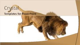  Presentation with lion - Slides with side-view-of-a-lion background and a yellow colored foreground