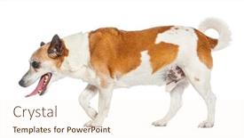  Presentation with russell - Slide set consisting of side-view-of-a-old background and a cream colored foreground