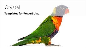  Presentation with rainbow - Audience pleasing presentation consisting of side-view-of-a-rainbow backdrop and a white colored foreground