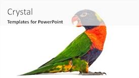  Presentation with rainbow - Cool new PPT layouts with side-view-of-a-rainbow backdrop and a white colored foreground