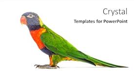  Presentation with rainbow - Cool new presentation theme with side-view-of-a-rainbow backdrop and a white colored foreground