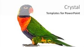  Presentation with rainbow - Beautiful theme featuring side-view-of-a-rainbow backdrop and a white colored foreground