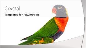  Presentation with rainbow - PPT theme consisting of side-view-of-a-rainbow background and a white colored foreground