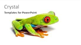  Presentation with frog - Theme enhanced with side-view-of-a-red background and a white colored foreground