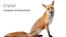  Presentation with old camera and film sound - PPT theme consisting of side-view-of-a-red background and a white colored foreground