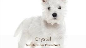  Presentation with west - Presentation design with side-view-of-a-standing background and a sky blue colored foreground