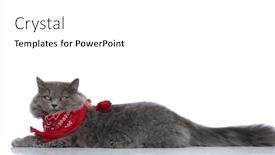  Presentation with british - Presentation featuring side view of a superb background and a white colored foreground